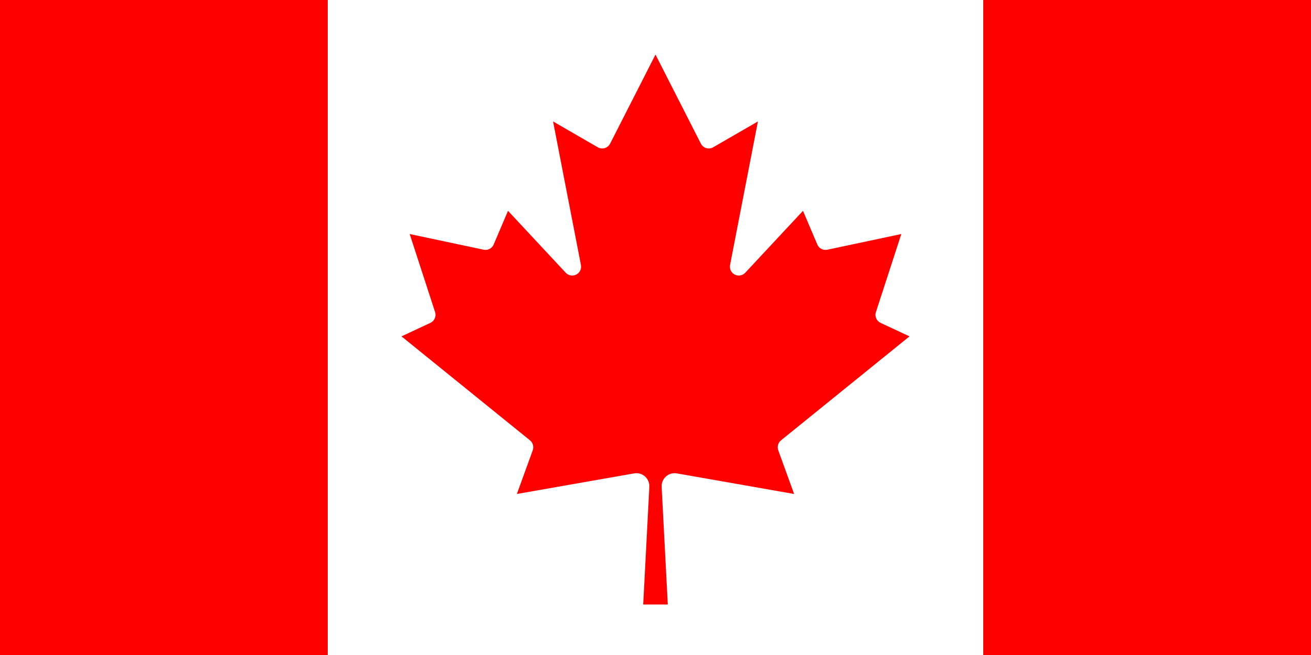 UAE Flag