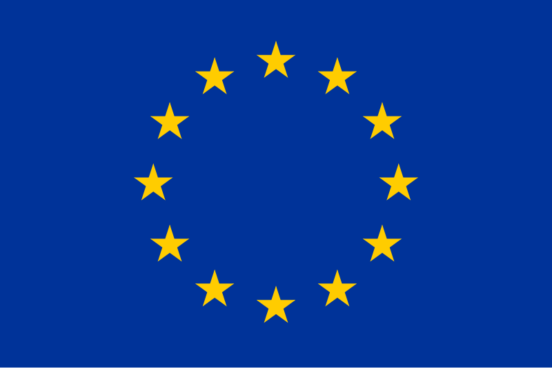 UAE Flag