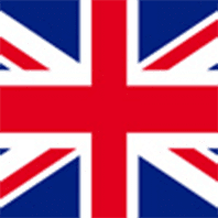 UAE Flag